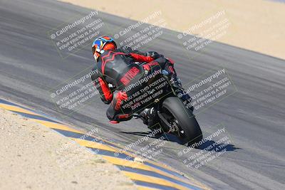 media/Nov-12-2023-SoCal Trackdays (Sun) [[5d1fba4e7d]]/Turn 10 Backside (115pm)/